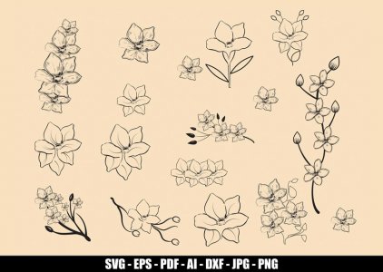 Flower SVG Bundle, Flower Sketches, Flower Clip Art, Decal And Stickers, T-shirt Design, Cricut Files, Instant Download