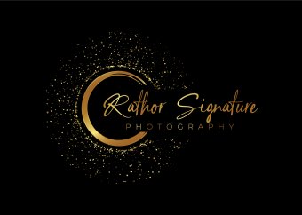 Signature Logo, Signature Glitter logo, Photography Logo, Unlimited revisions