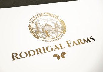 Logo design custom for business, logo design, logo design custom, logo designer, custom logo, custom logo design, logo branding, logo design