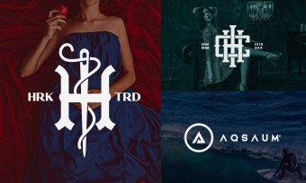 Custom Hand Drawn Logo, Logo Design, Logo Design Custom For Business, Logo Design, Business Logo Design, Logo, Photography Logo