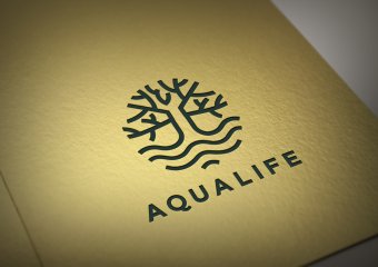 I will create CUSTOM Logo Design for your business, Brand Identity, Branding design, Branding kit, Hire a Graphic Designer, Branding Package