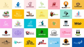 I will create custom logo design and branding for business, custom logo designs for small business, logos and branding