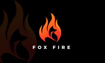 I will create custom logo design, logo Package, Photography Logo, Business Logo, Professional Logo Design, Custom Logo For Your Business