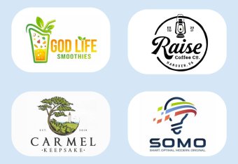 I Will Create Custom Logo Design for your Business Professional Logo Maker Logo Creation Logo Design Custom For Business Branding Kit