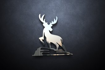 Custom logo design for business | logo design and branding for business | Creative logo design | Photography logo | Expert graphic designer