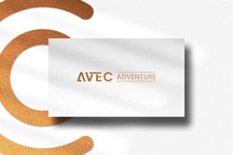 I Will Create Custom Logo Design for your Business Professional Logo Maker Logo Creation Logo Design Custom For Business Branding Kit