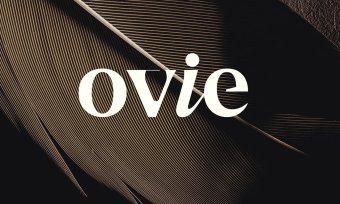 I will create Professional Logo design for your Business | Professional Logo Designer and Graphic Designer Expert | logo design custom