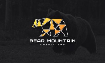 Logo Design, Custom Logo Design, Logo Design Custom, Photography Logo, Logo, Logos, Logo Design Branding, Calligraphy Logo, Branding Kit